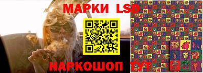 spice Новокубанск