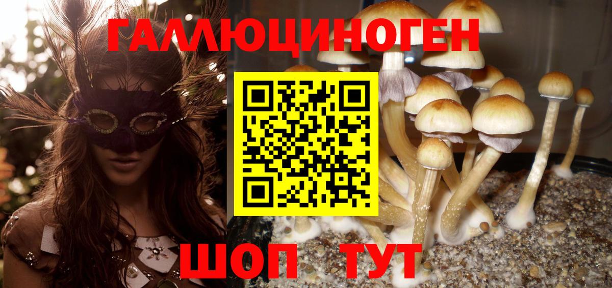 Галлюциногенные грибы Psilocybe  Псилоцибиновые грибы мухоморы  Вход с VPN  Сегежа 