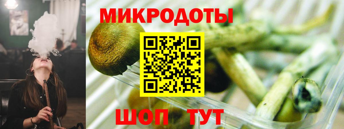 Галлюциногенные грибы прущие грибы Сегежа